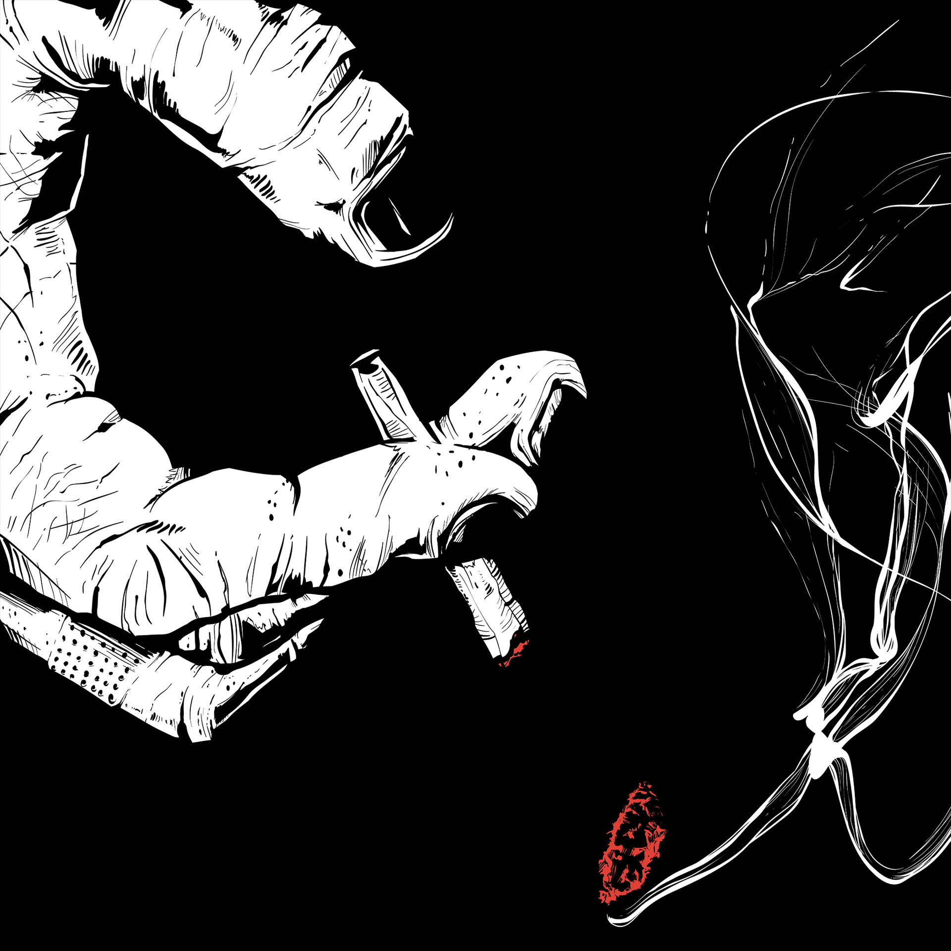 MORE_49QC_illustration_1920x1920